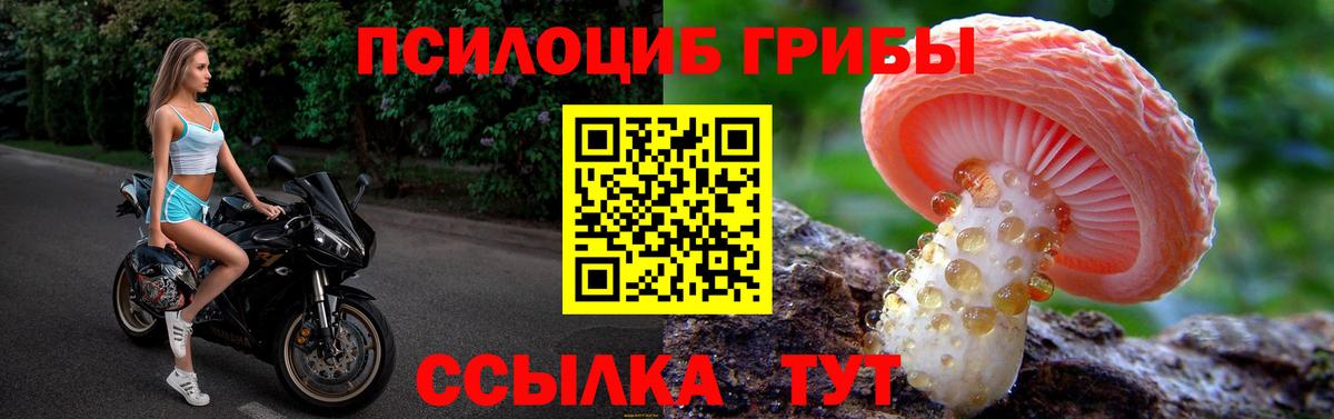 Краснокамск  Галлюциногенные грибы GOLDEN TEACHER  Вход с VPN 